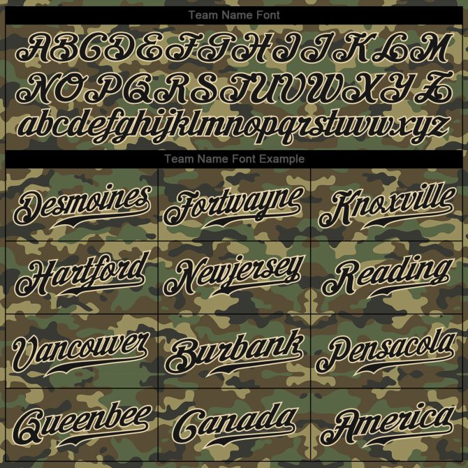 Custom Camo Black-Cream Performance Salute To Service T-Shirt